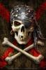 [b]Pirate skull[/b]